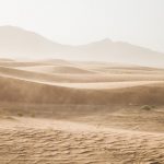 Deșert,arid,vegetație