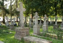 Cimitirul Mănăstirii Putna, cruci, morminte, răpoșați, repausați, gropi