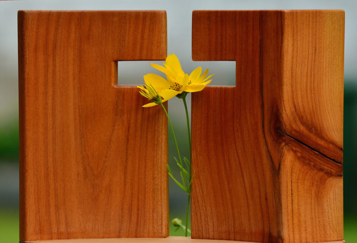 Sfânta Cruce, floare, lemn, primăvară, Postul Mare, Duminica a III-a din Post, 14 septembrie