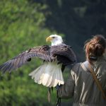 Nu lăsați vreo patimă să se înrădăcineze în voi