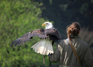 Nu lăsați vreo patimă să se înrădăcineze în voi